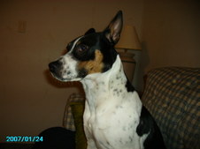 Enlarge photo 17