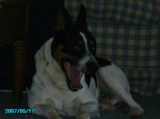 Enlarge photo 16