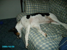 Enlarge photo 30