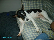 Enlarge photo 35