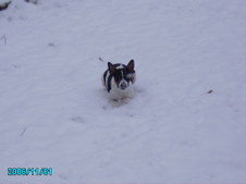 Enlarge photo 33