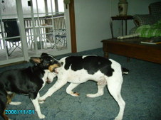 Enlarge photo 34