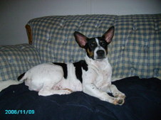Enlarge photo 39
