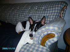Enlarge photo 19
