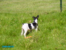 Enlarge photo 23