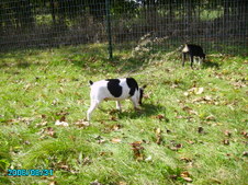 Enlarge photo 24