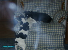 Enlarge photo 25