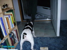 Enlarge photo 29