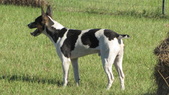 Enlarge photo 12