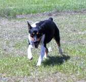 Enlarge photo 26
