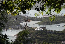 Enlarge photo 16