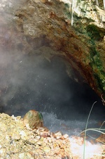 Enlarge photo 41