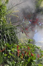 Enlarge photo 45