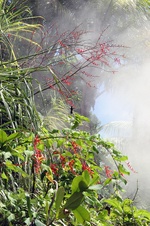 Enlarge photo 48