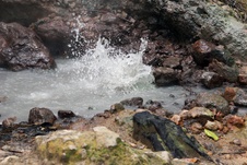 Enlarge photo 51