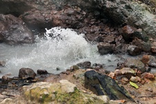 Enlarge photo 52