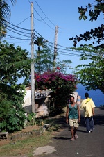 Enlarge photo 62
