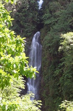 Enlarge photo 35