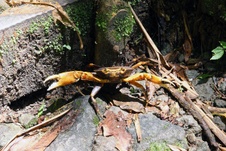 Enlarge photo 40