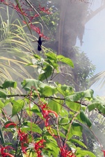 Enlarge photo 49