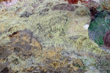 Enlarge photo 43