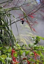 Enlarge photo 47