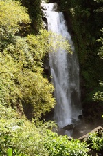 Enlarge photo 34