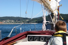 Enlarge photo 61