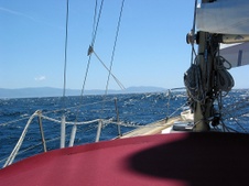 Enlarge photo 59