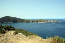 Enlarge photo 73