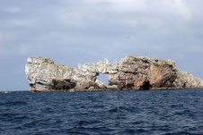 Enlarge photo 34