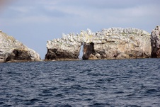 Enlarge photo 37