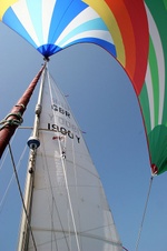 Enlarge photo 42