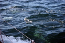Enlarge photo 18