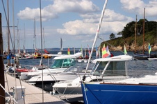 Enlarge photo 53