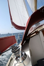 Enlarge photo 36