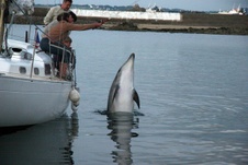 Enlarge photo 46