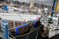 Enlarge photo 15