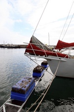 Enlarge photo 13