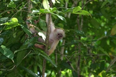 Enlarge photo 34