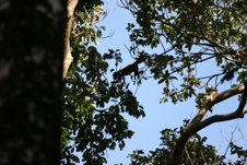 Enlarge photo 27