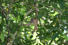 Enlarge photo 29