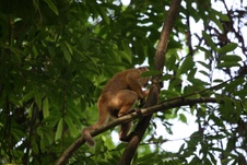 Enlarge photo 37