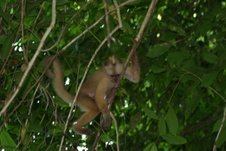 Enlarge photo 30