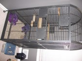 newcage