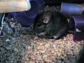 Enlarge photo 10