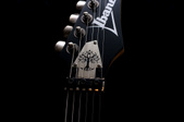 NewIbanezCovers