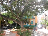 Enlarge photo 5