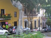 Enlarge photo 15