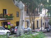 Enlarge photo 16